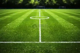 秦海璐搞笑,回应霸总小,说唤醒,JBO竞博,JBO竞博官网