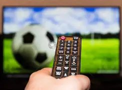 谢娜欣喜宣,布侄子考入,清华,JBO竞博,JBO竞博官网