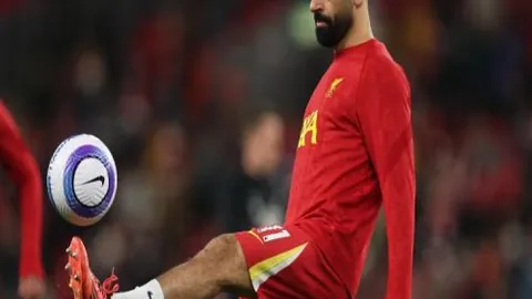 完美国际二十周年首篇章花朝有约今日开启